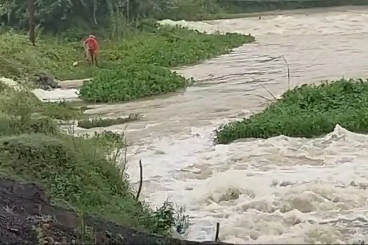 Farakka Nishinda Katan Road Waterlogging: मुर्शिदाबाद के फरक्का में फिर पानी में डूबी अहम सड़क, निशिंदा-काटान के लोगों की बढ़ी परेशानी