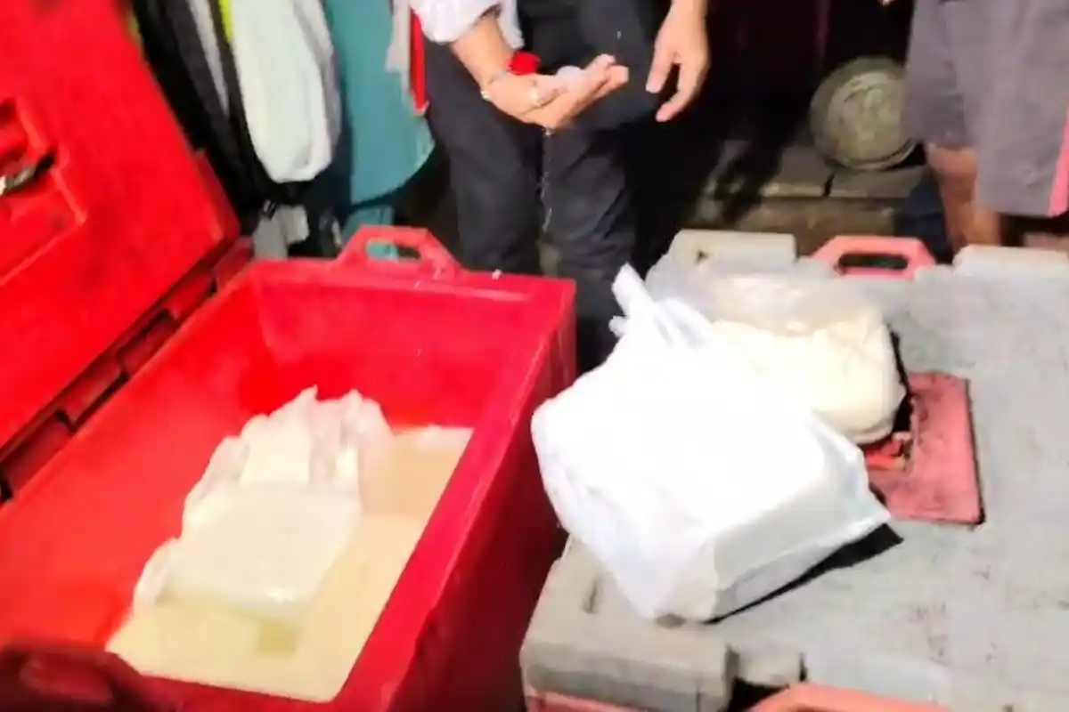 Kolkata Municipal Corporation paneer market raid Bowbazar: बउबाजार की पनीर पट्टी में कोलकाता नगर निगम की कार्रवाई, खराब खोया और छेना केक नष्ट