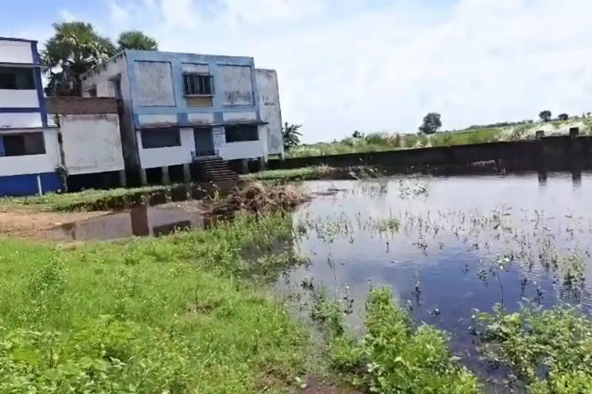 Murshidabad Godapara Pulia School Waterlogging: मुर्शिदाबाद के गोदापाड़ा पुलिया उच्च विद्यालय में फिर जलजमाव, 2000 से जारी है परेशानी