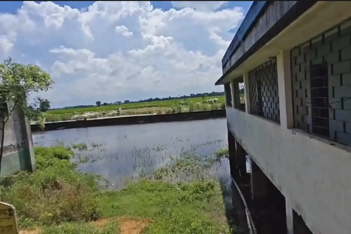Murshidabad Godapara Pulia School Waterlogging: मुर्शिदाबाद के गोदापाड़ा पुलिया उच्च विद्यालय में फिर जलजमाव, 2000 से जारी है परेशानी