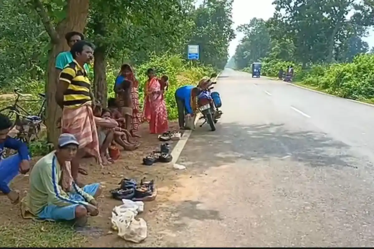 Durga Chatu Salboni 400 Rupees: त्योहारों से पहले शालवन में बढ़ी दुग्गा छातु की मांग, 400 रुपये किलो तक पहुंचा भाव