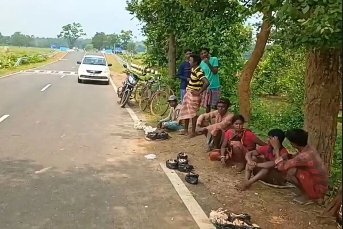 Durga Chatu Salboni 400 Rupees: त्योहारों से पहले शालवन में बढ़ी दुग्गा छातु की मांग, 400 रुपये किलो तक पहुंचा भाव