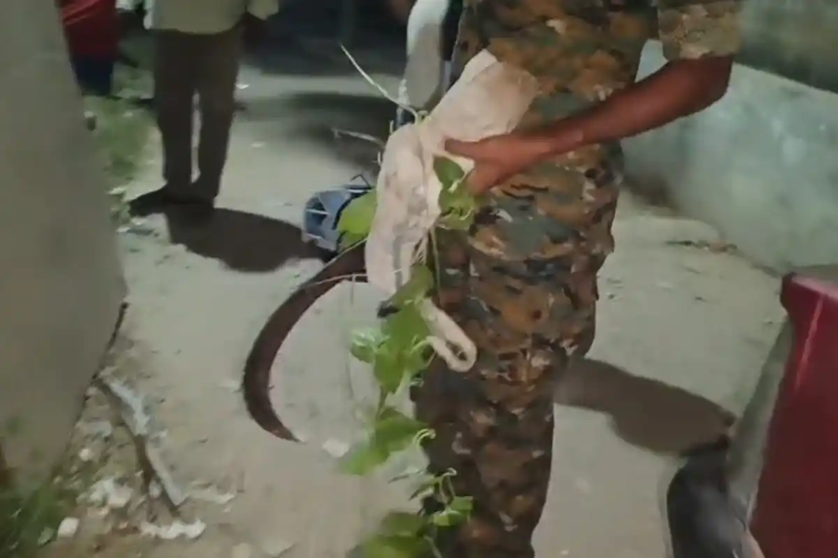 Malda Mangalbari BJP Leader Attack: मालदा में भाजपा नेता पर धारदार हथियार से हमले का आरोप, तृणमूल पंचायत सदस्य पर गंभीर आरोप